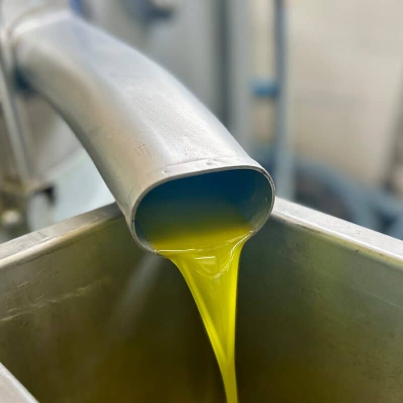 New Olive Oil